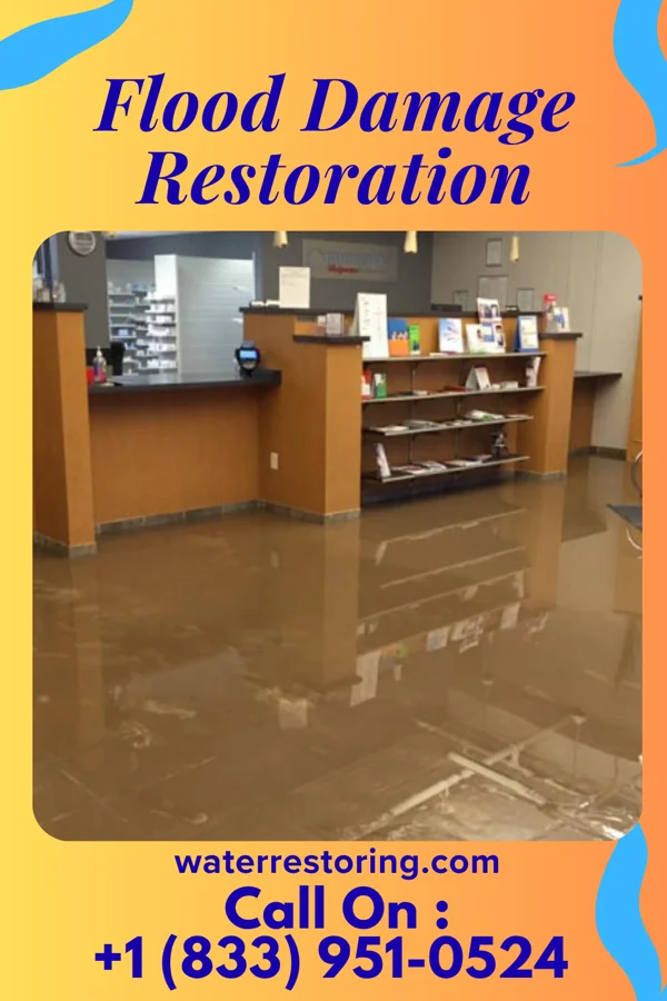 Flood Damage Restoration in Langdon, ND