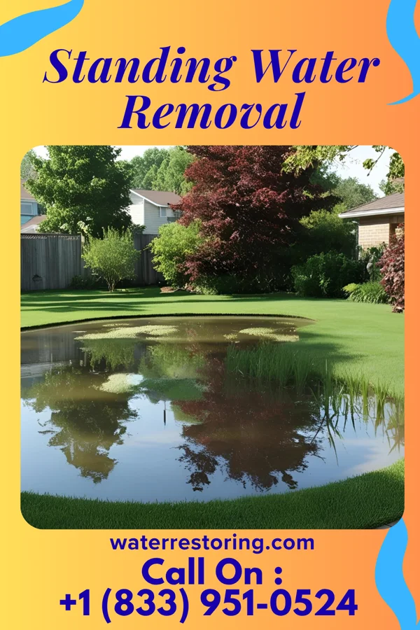 Standing Water Removal in Langdon, ND